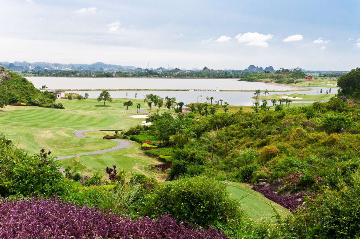 로열 골프 코스